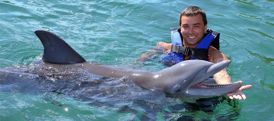 Encuentro con delfines en tu crucero por el Caribe
