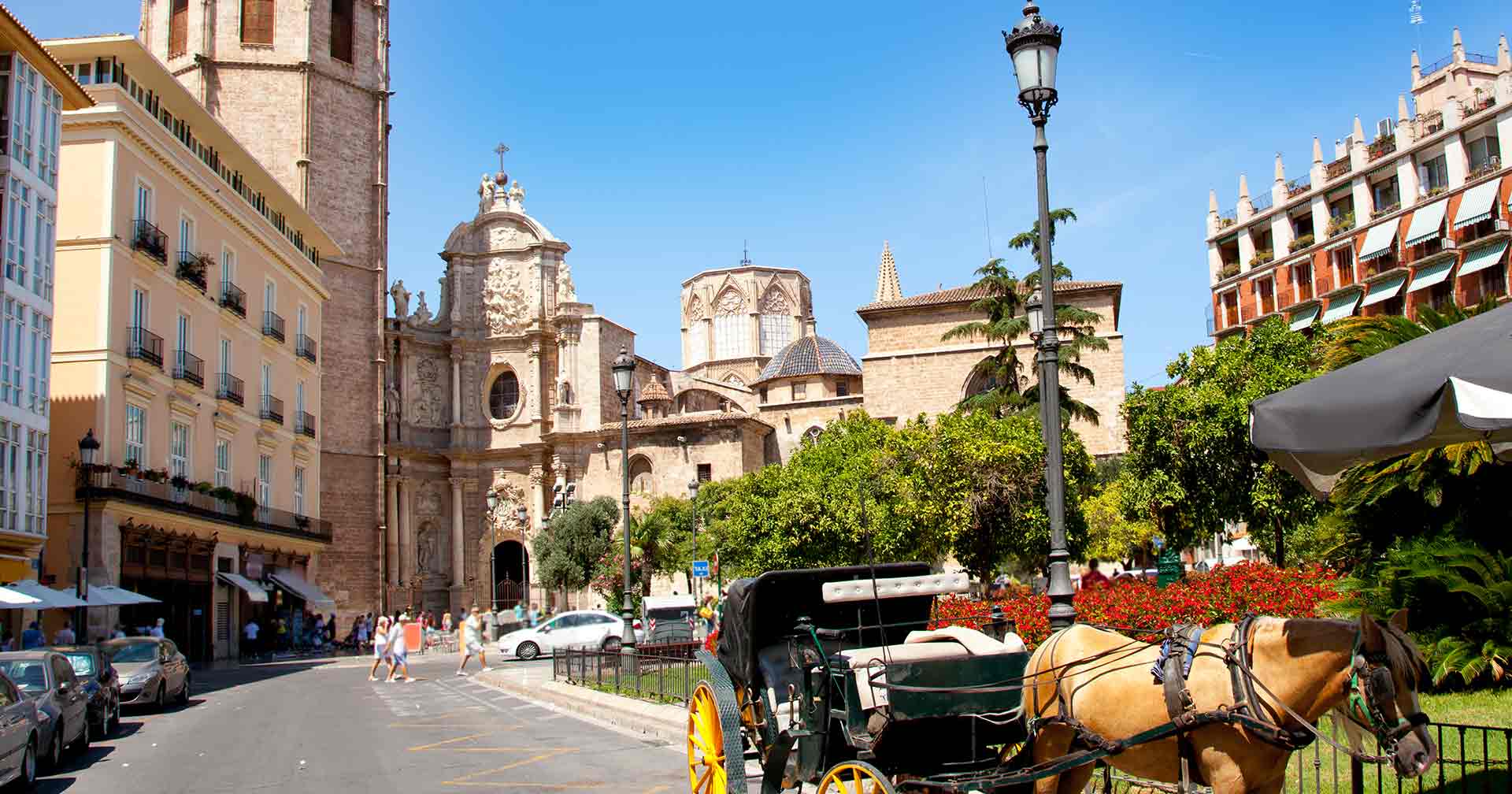 Best of Valencia, Albufera & Paella