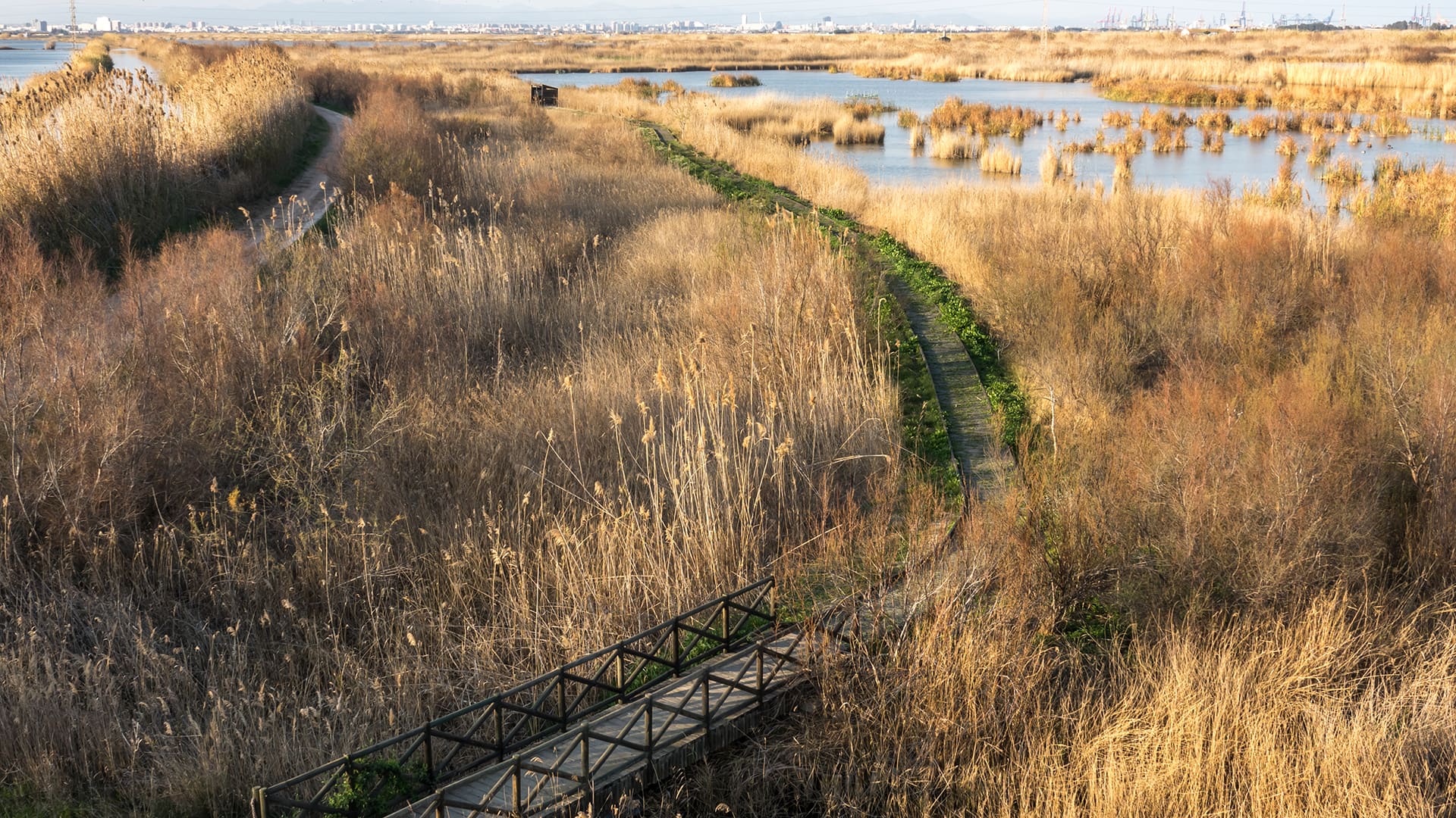 Ecología - Recuperación del ecosistema en el Parque Natural de la Albufera