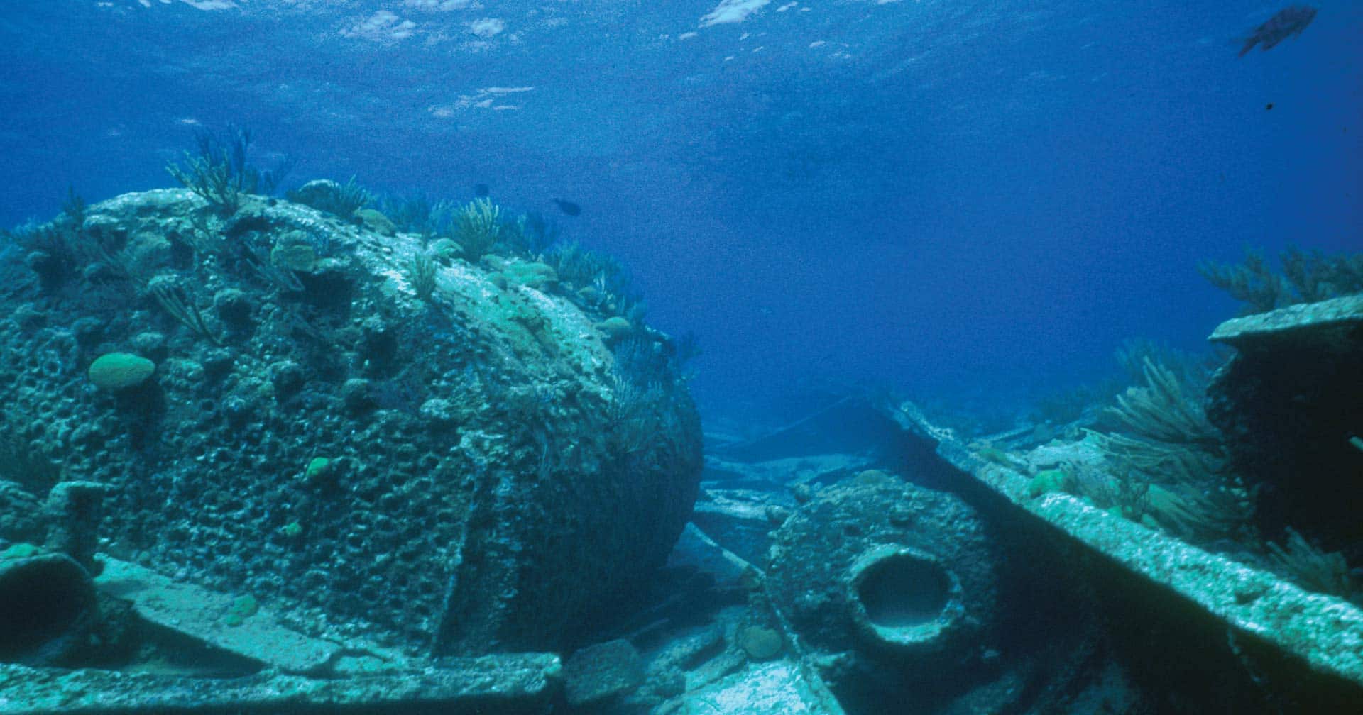 Crucero nocturno por el Triángulo de las Bermudas