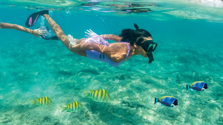 Crédito para excursiones en tierra de $50