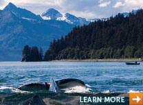 Cruceros en Alaska Cruceros en Alaska
