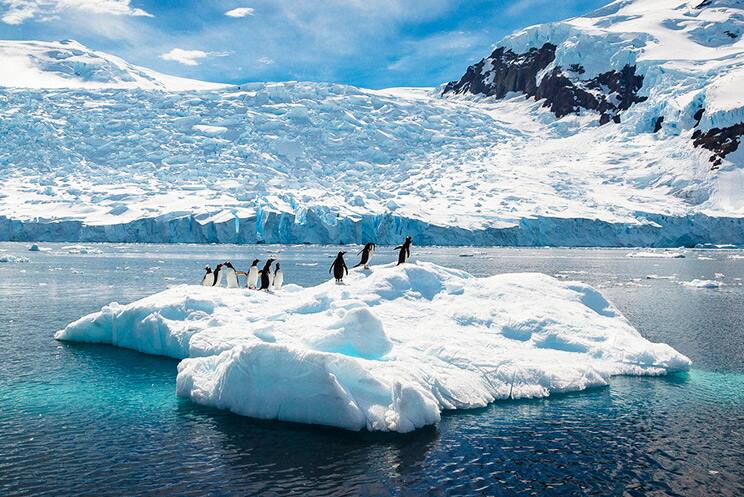 Contempla los glaciares azules y la vida silvestre singular de la Antártida