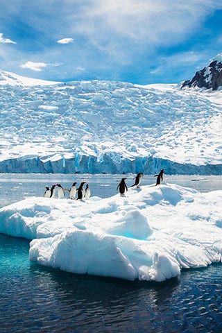 Contempla los glaciares azules y la vida silvestre singular de la Antártida