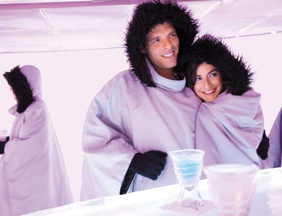 Bar de hielo Skyy® Vodka