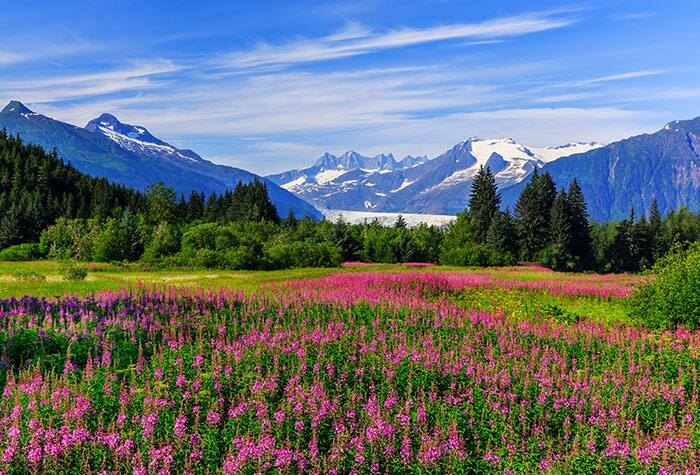 Crucero de reposicionamiento desde Alaska