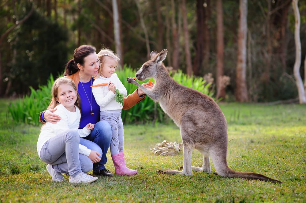 Experience Nature Up Close Experience Life in the Outback on an Australia Cruise with Norwegian