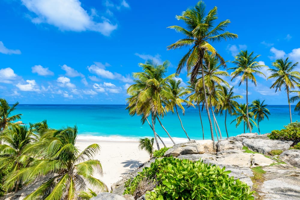 Kick Your Toes in the Powdery White Sand in Barbados