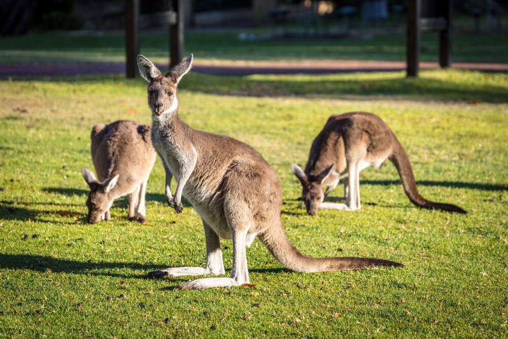 Australia