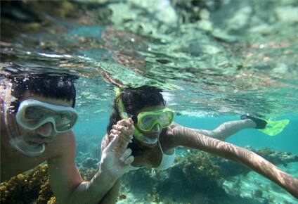 buceo de superficie en el caribe